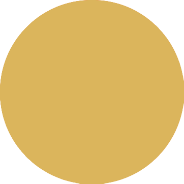 service-shape-2